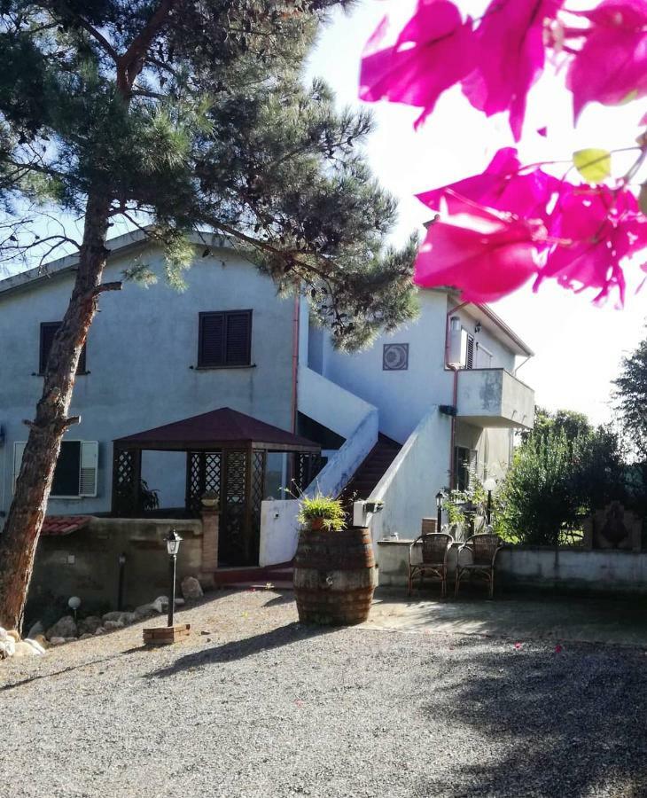 Casa Vacanza Il Mandorlo Domusnovas 外观 照片